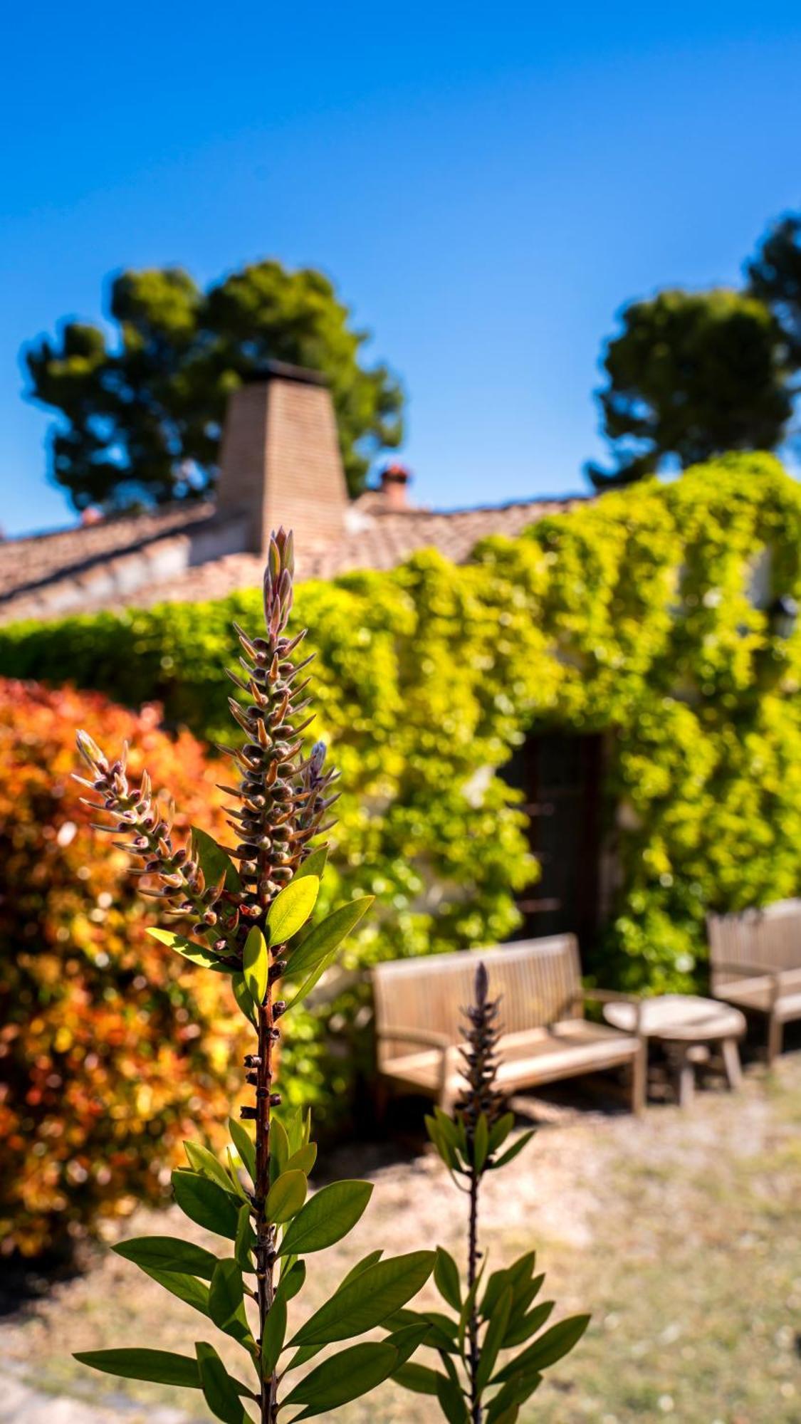 Eco Hotel Con Encanto Masia La Mota B&B Alcoy Exterior photo