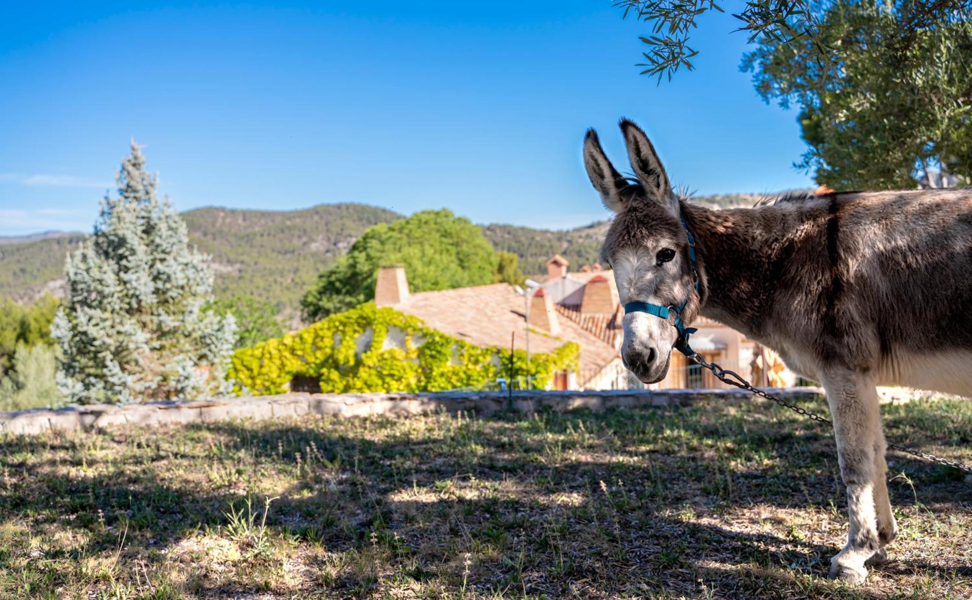 Eco Hotel Con Encanto Masia La Mota B&B Alcoy Exterior photo