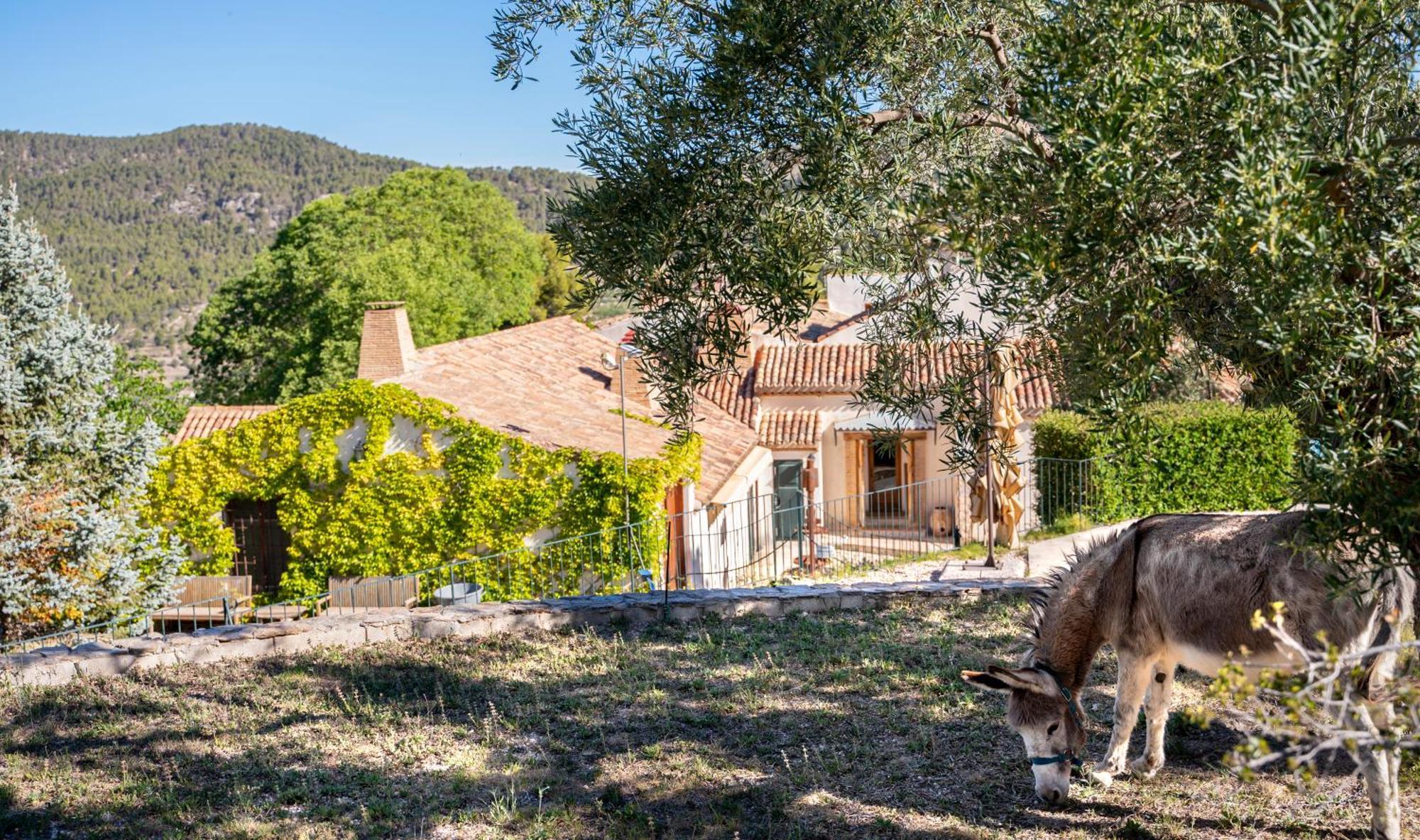 Eco Hotel Con Encanto Masia La Mota B&B Alcoy Exterior photo