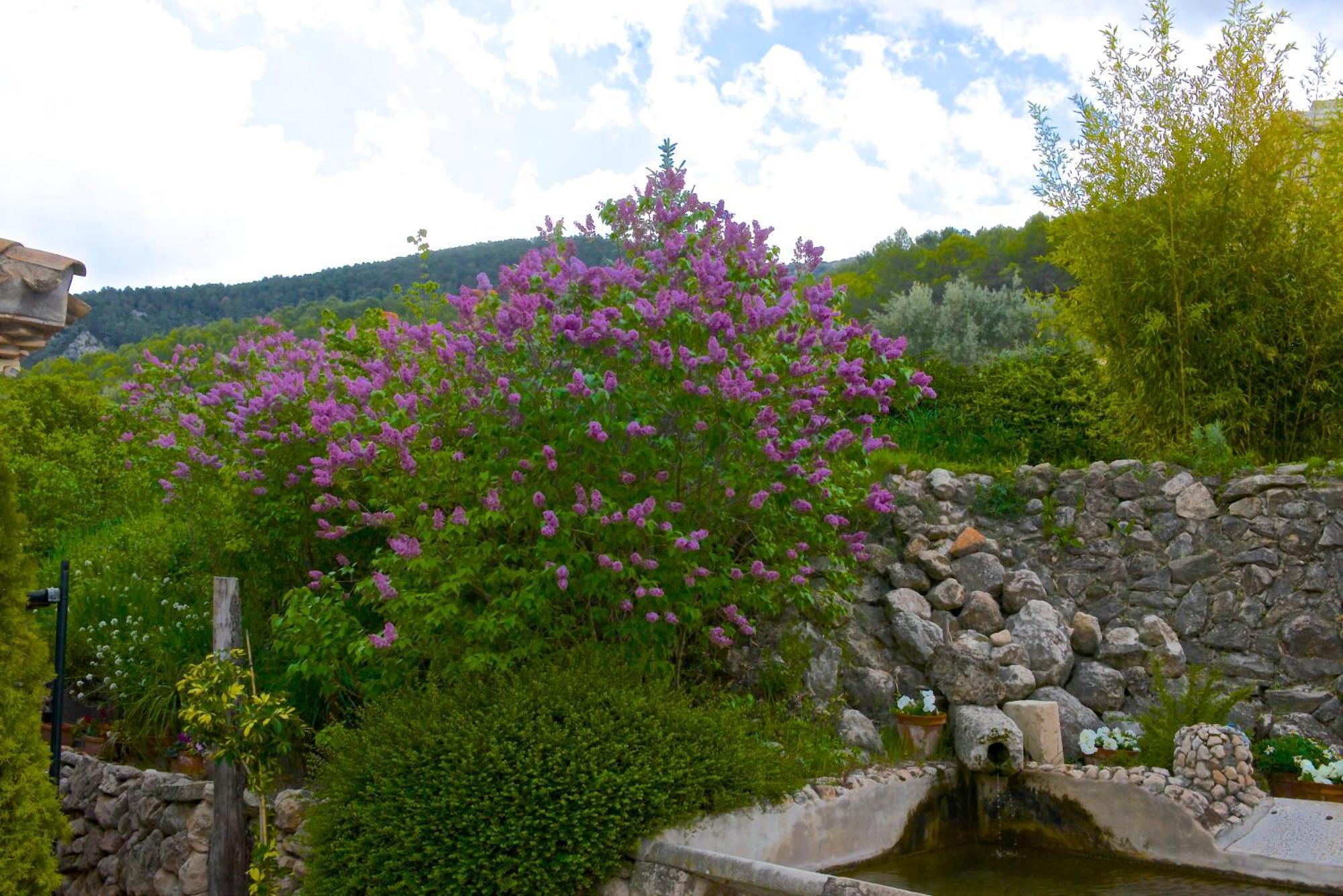 Eco Hotel Con Encanto Masia La Mota B&B Alcoy Exterior photo
