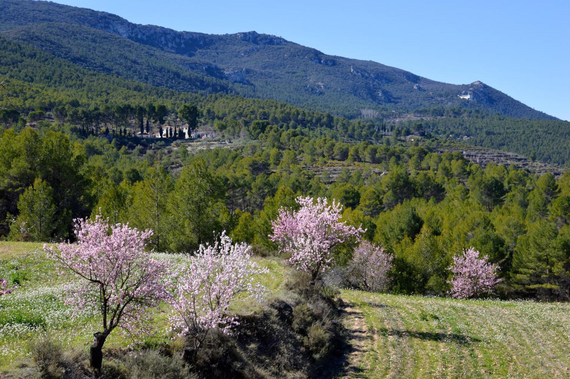 Eco Hotel Con Encanto Masia La Mota B&B Alcoy Exterior photo